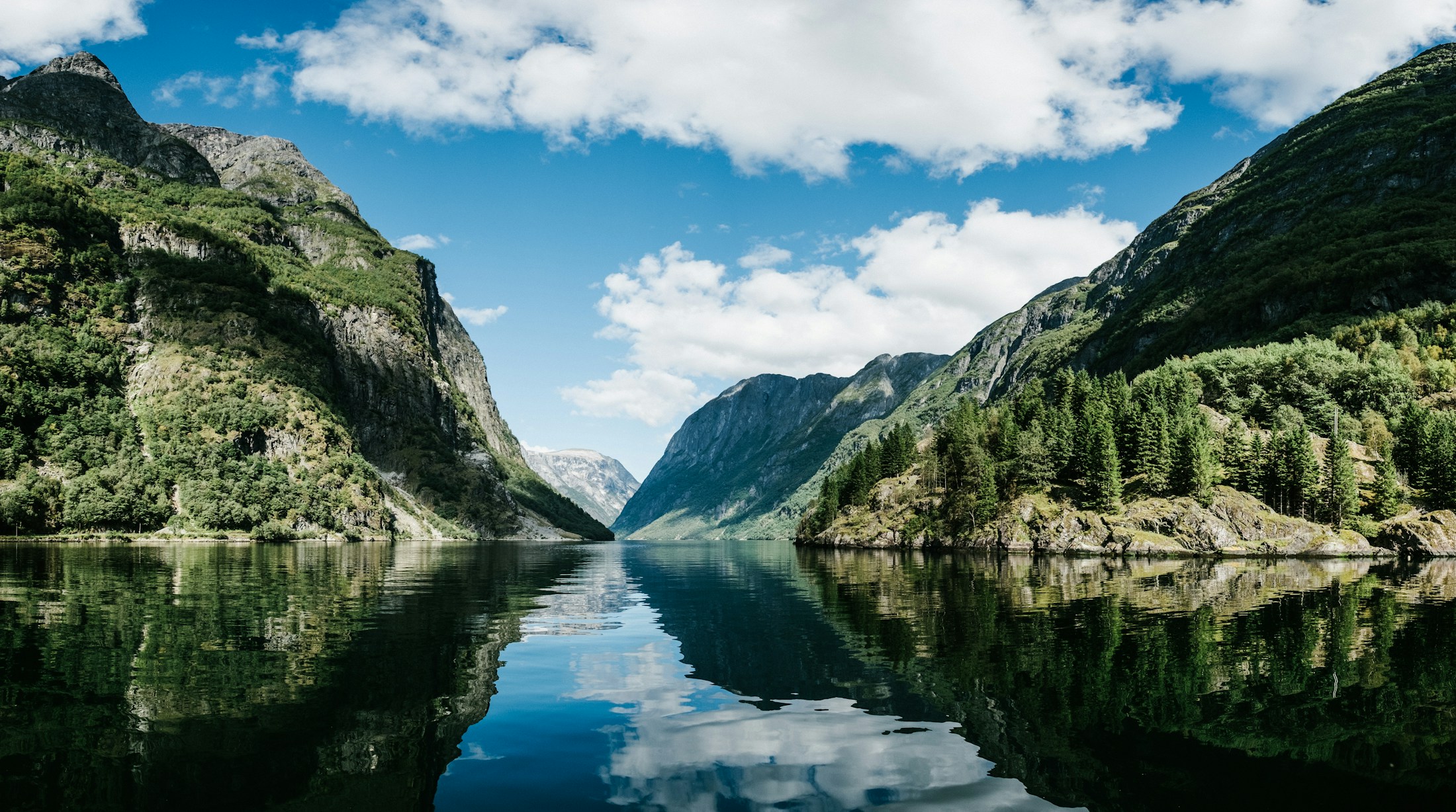 Norwegian fjord surrounded by forested mountains